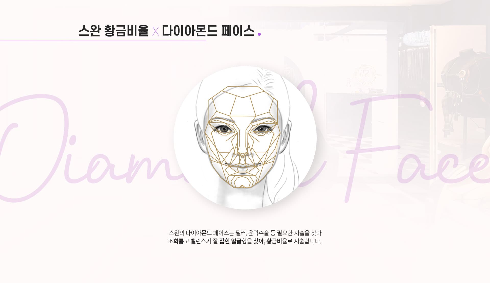 스완 황금비율 다이아몬드페이스