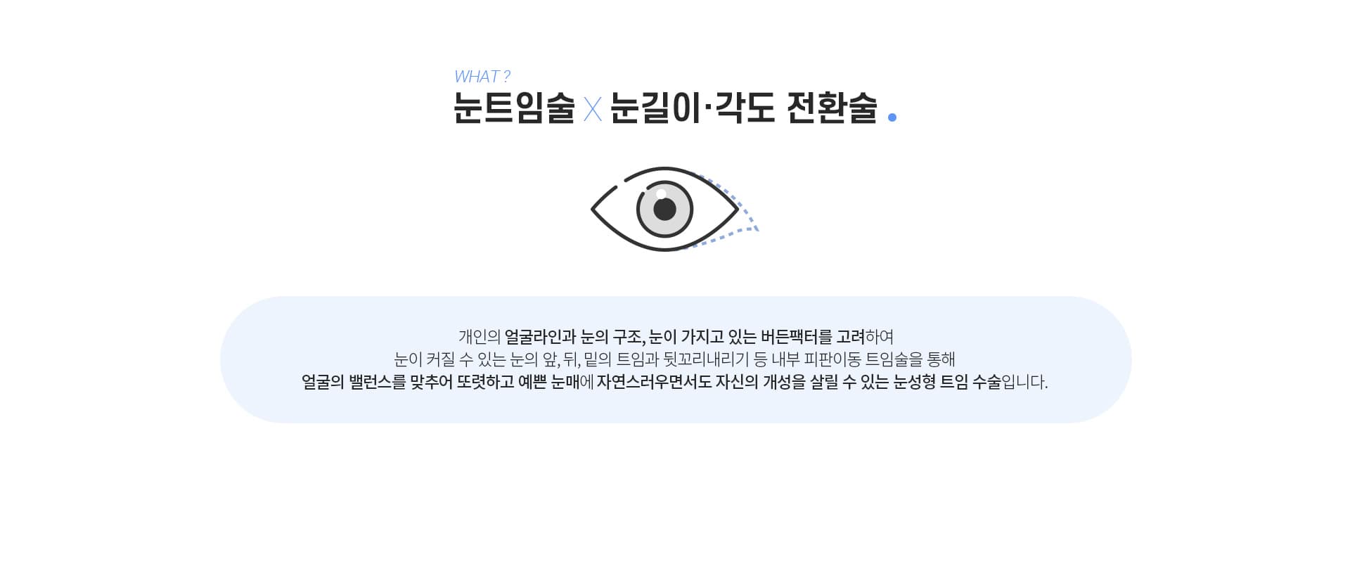 눈트임술 눈길이각도전환술은?