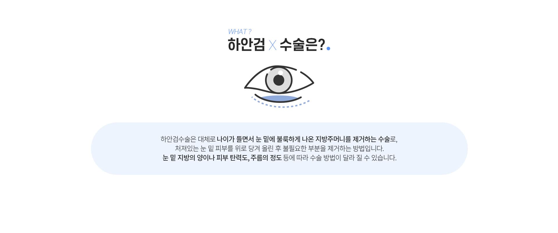 하안검수술은?