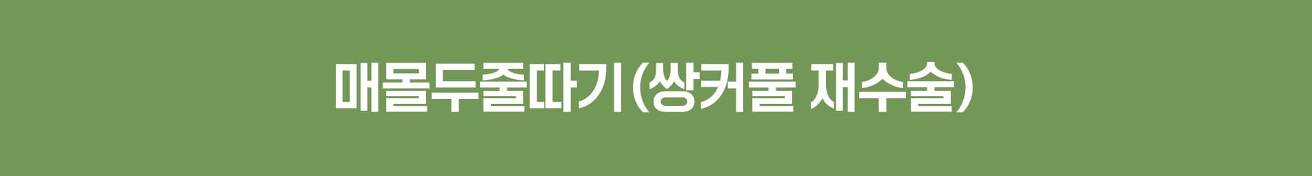 스완 매몰안검하수 타이틀