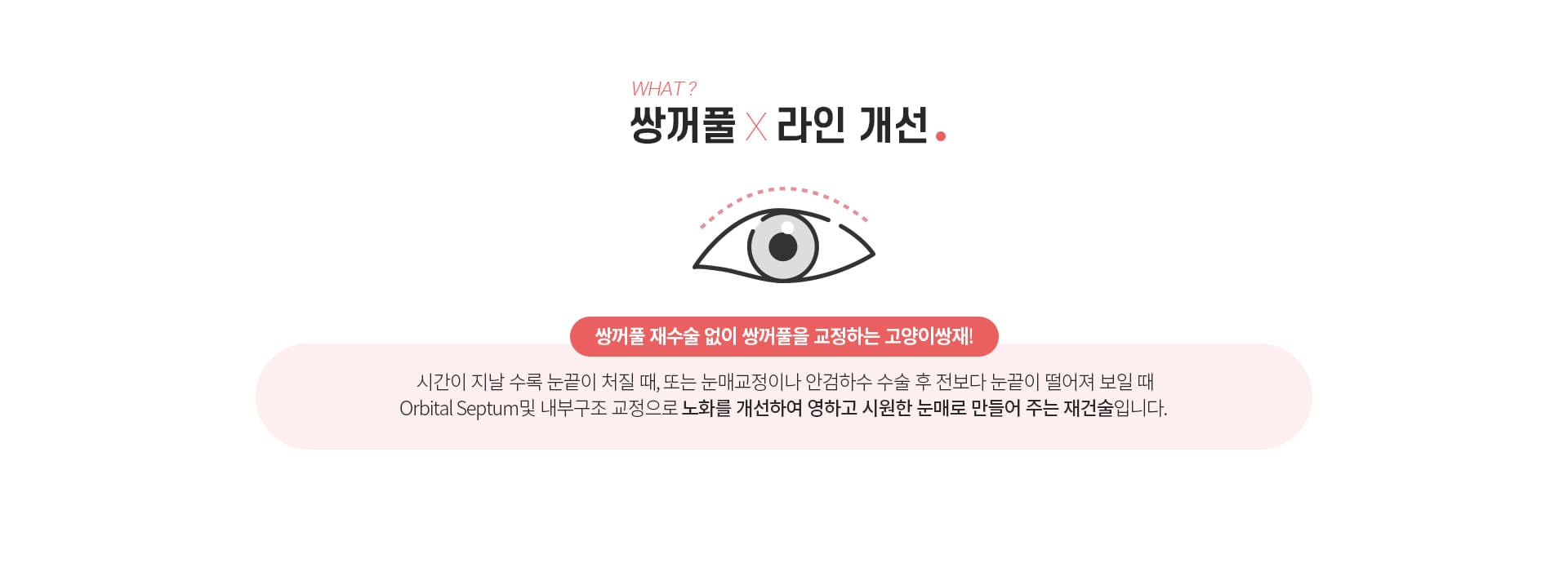 스완 고양이 눈성형 정의