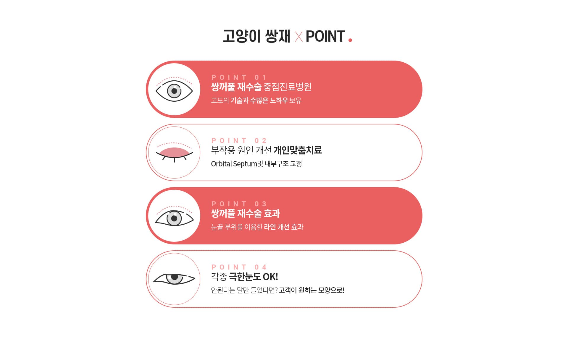스완 고양이 눈성형 포인트
