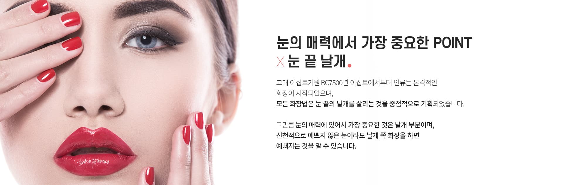 포니테일 수술 눈끝날개