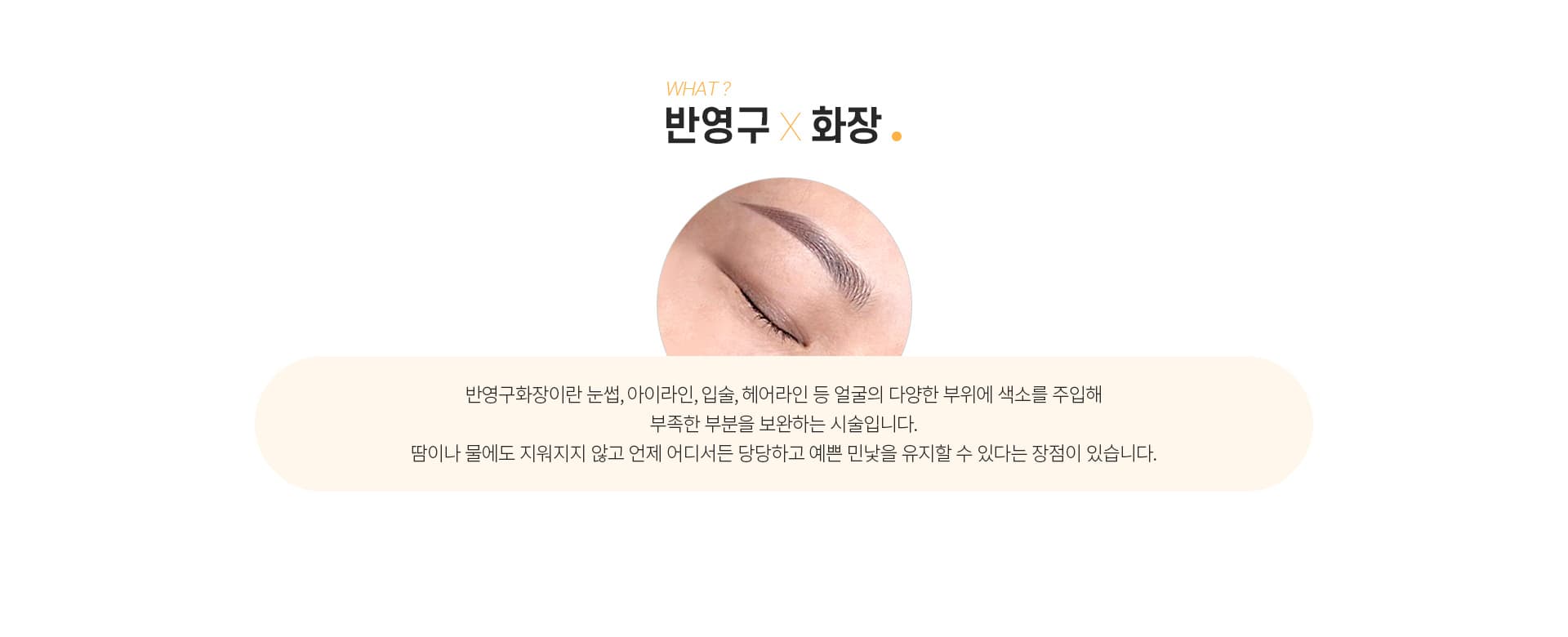 스완 반영구화장 정의