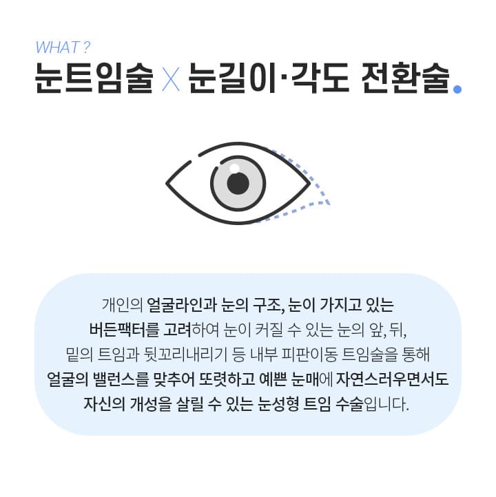 눈트임술 눈길이각도전환술은?