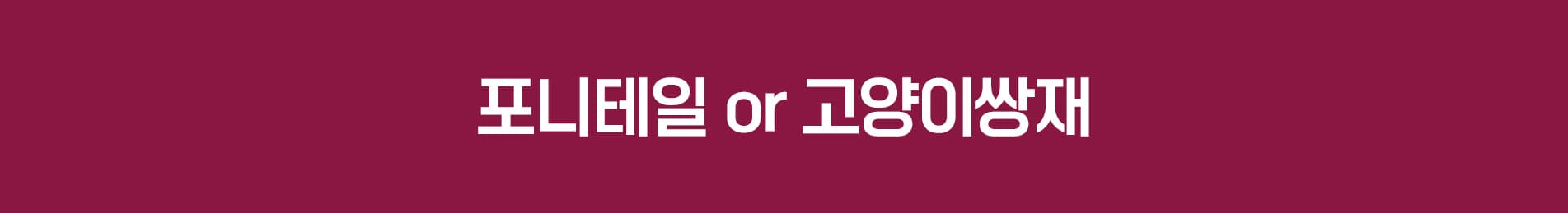 스완 포니테일 타이틀