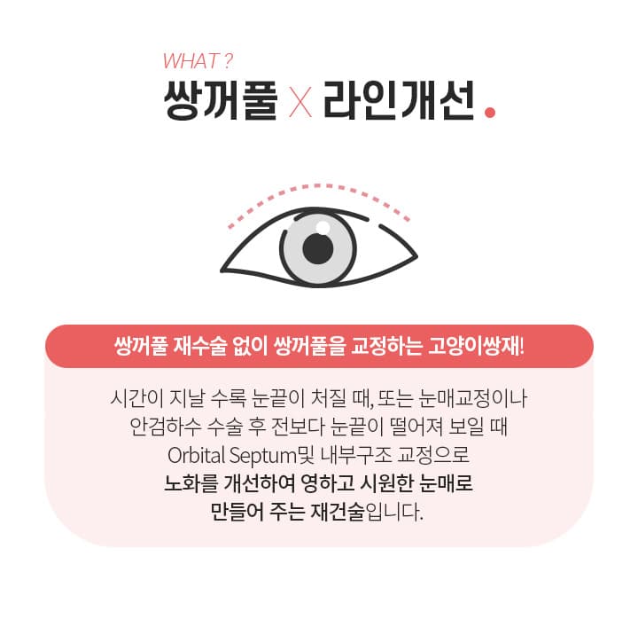 스완 고양이 눈성형 정의