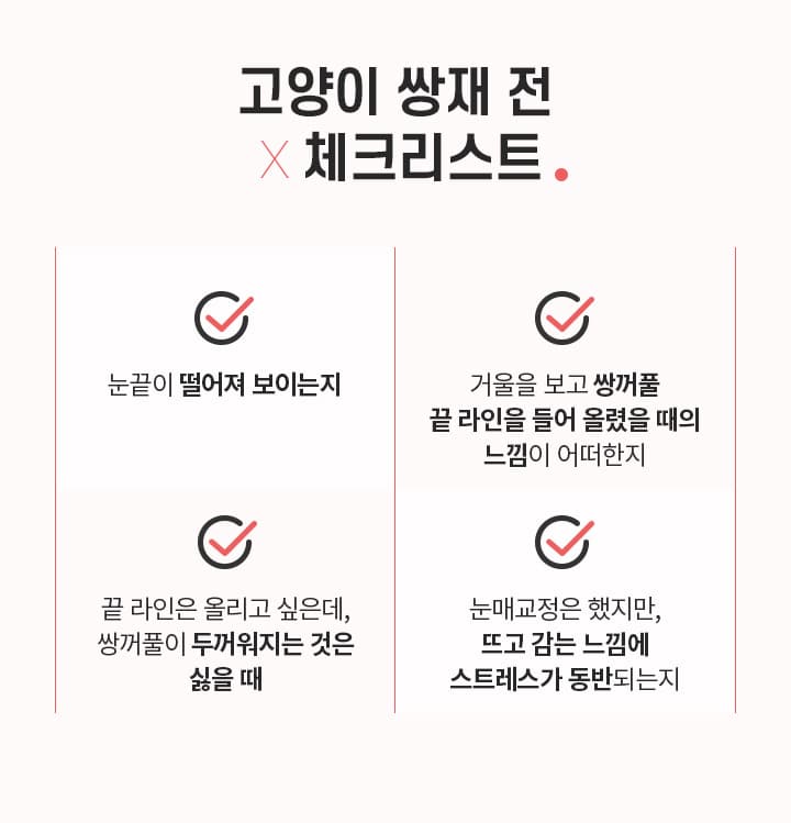 스완 고양이 눈성형 체크리스트