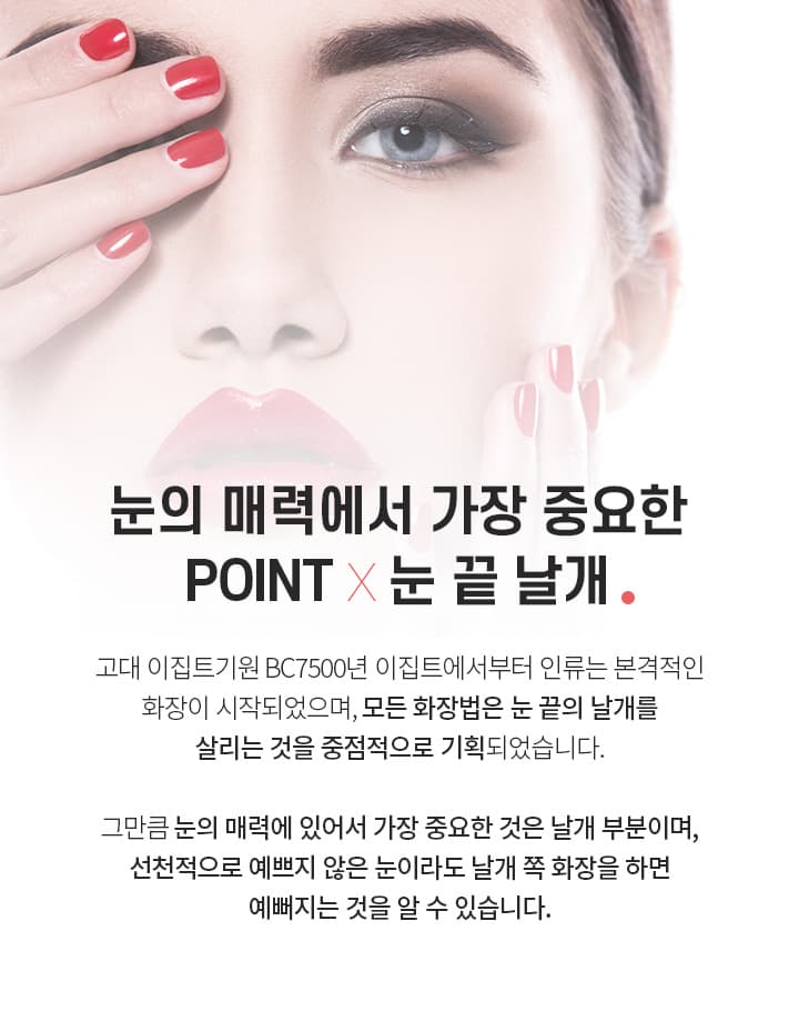 포니테일 수술 눈끝날개