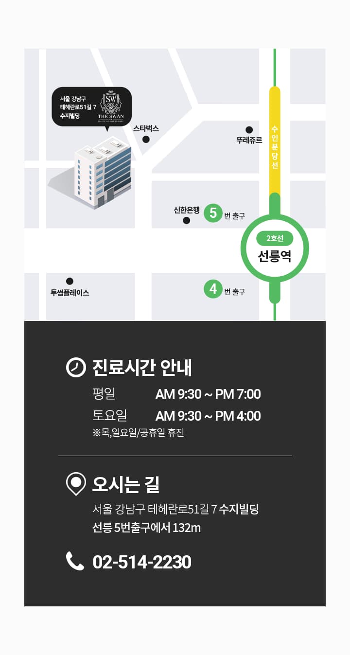 스완약도