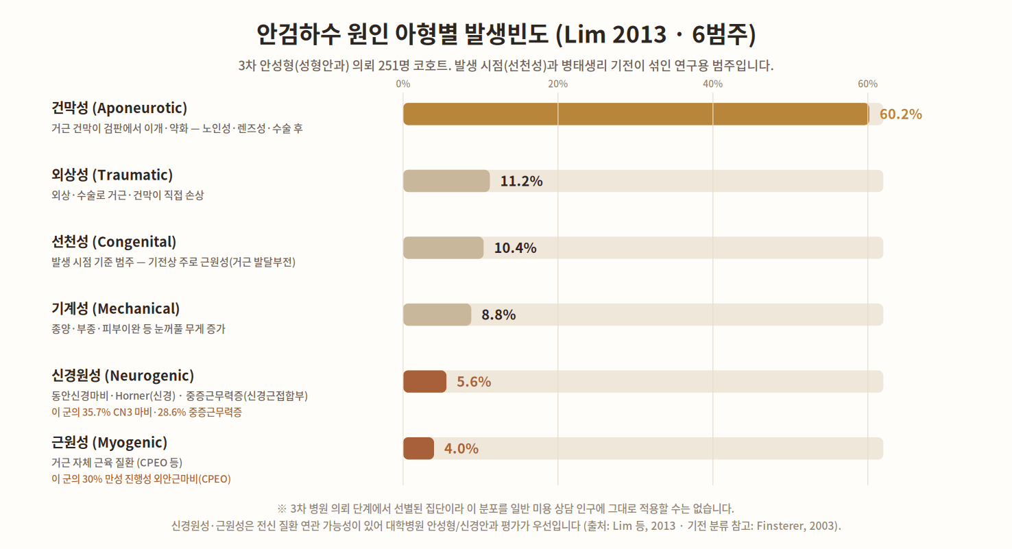 안검하수 원인 아형별 발생빈도 막대도해(Lim 2013 6범주) — 3차 안성형(성형안과) 의뢰 251명 코호트에서 건막성(거근 건막 이개) 60.2%, 외상성 11.2%, 선천성 10.4%, 기계성(눈꺼풀 무게 증가) 8.8%, 신경원성(동안신경마비·중증근무력증) 5.6%, 근원성(거근 근육 질환·CPEO) 4.0%. 신경원성 군의 35.7%는 CN3 마비, 28.6%는 중증근무력증. 선천성은 발생 시점 기준 범주로 기전상 대개 근원성에 해당(Lim 등, 2013)