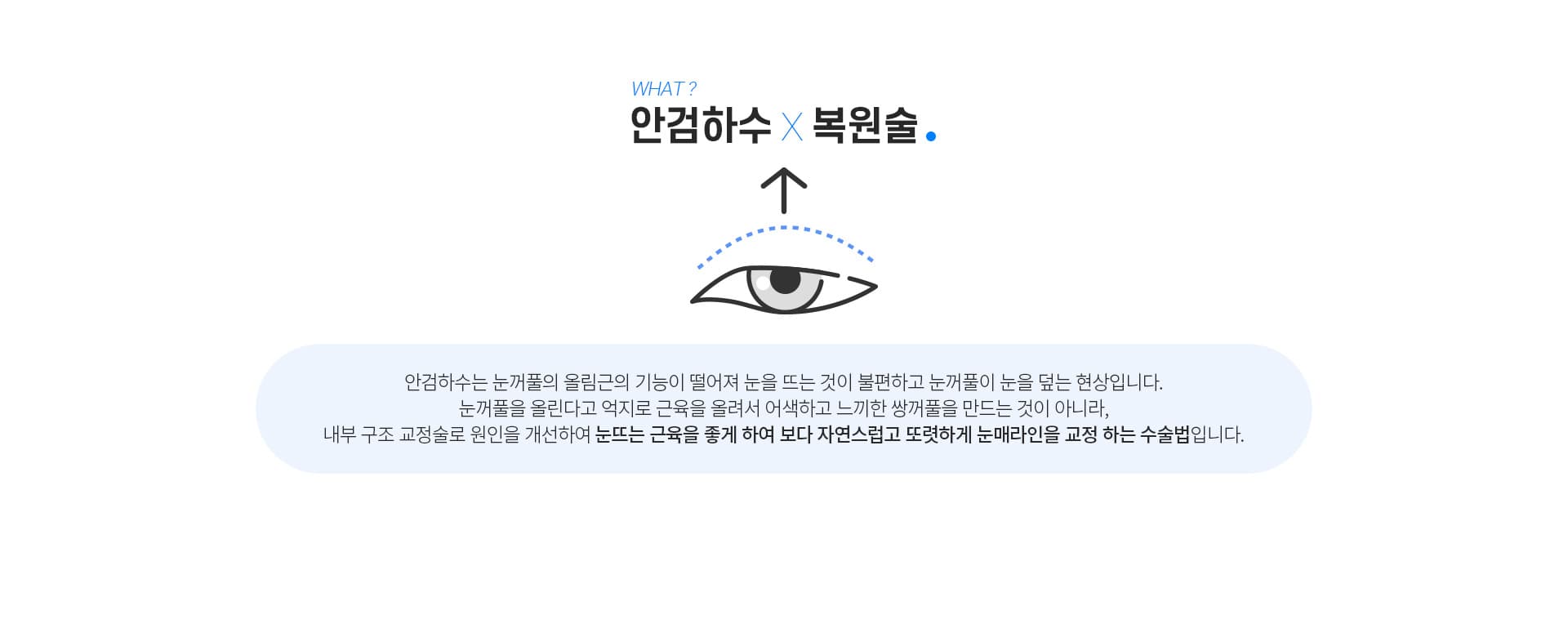 안검하수 복원술이란?