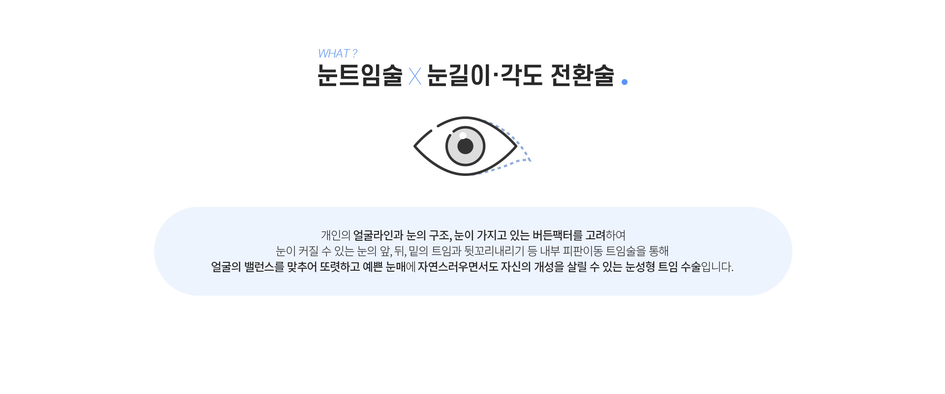 눈트임술 눈길이각도전환술은? 